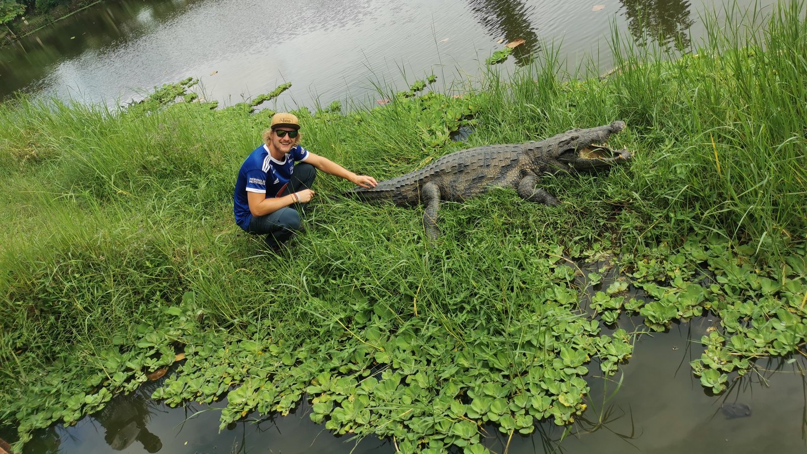 Wildlife in Ghana Hans_Cottage