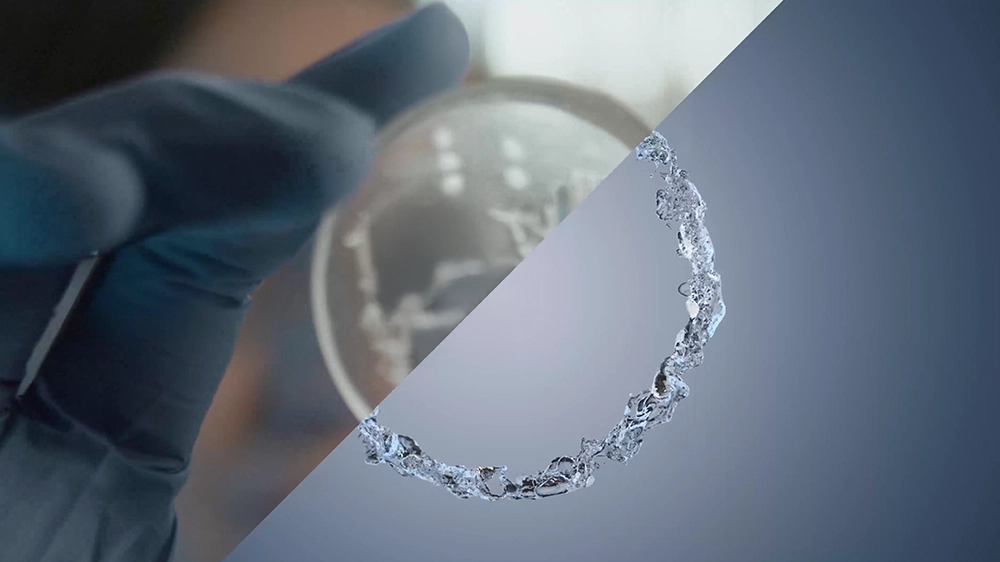 Video Vorschau Mobile