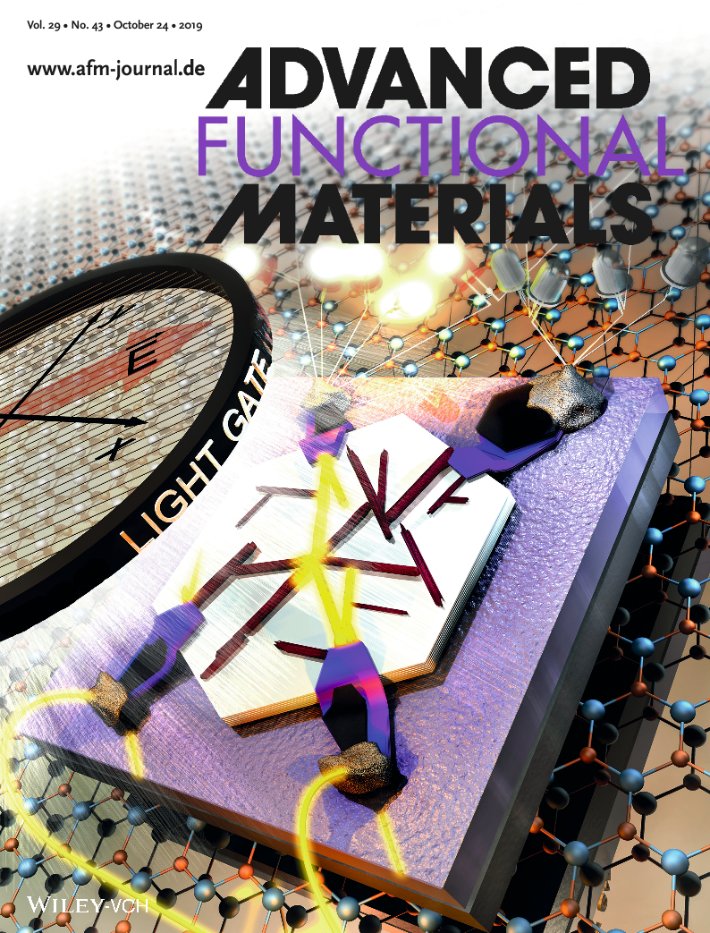 Wiedergabe des Covers der Zeitschrift Advanced Functional Materials